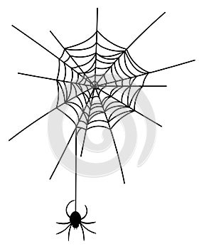 Vector illustration of a spider on a cobweb. Black silhouette of a spider coming down from a web. Drawing for Halloween