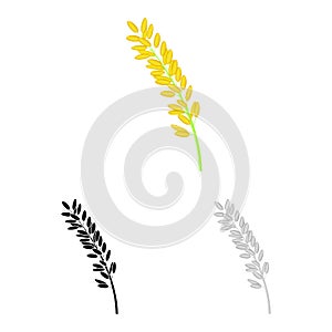 Vector illustration of spikelet and rice logo. Collection of spikelet and growth stock symbol for web.