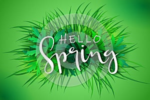 Vector illustration of spring banner template with hand lettering phrase - hello spring - on a background of grass and