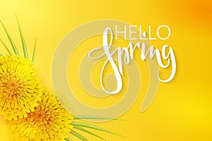 Vector illustration of spring banner template with hand lettering phrase - hello spring - with dandelions and grass