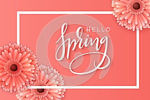 Vector illustration of spring banner template with hand lettering phrase - hello spring - with realictic gerbera flowers