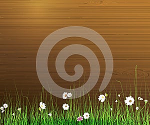 Vector illustration Spring nature background. Green grass and leaf plant