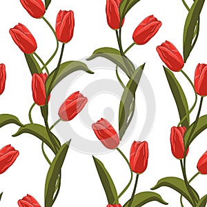 Vector illustration. Spring red flowers on white background.