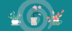 Vector illustration of spring or summer flowers arrangement growing in tea cup, vase, pot