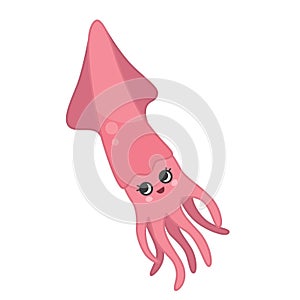 Vector illustration of squid