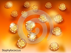 Vector illustration of the Staphylococcus aureus. Staphylococcus is a genus of Gram-positive bacteria in the family