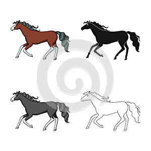 Vector illustration of steed and brown sign. Set of steed and gallop vector icon for stock.