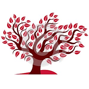 Vector illustration of stylized branchy tree isolated on white b