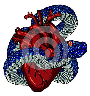 Vector illustration stylized heart with a snake