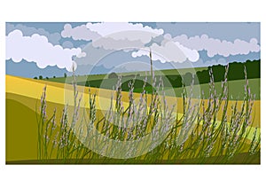 Vector illustration of summer country landscape with a green hills and blue sky