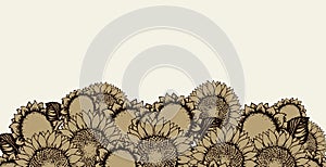 Vector illustration. Sunflowers