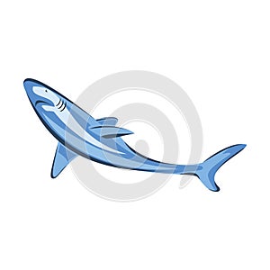 Vector illustration swimming shark animal sea fish