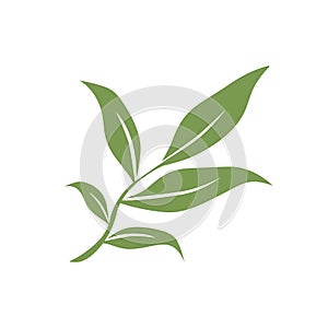 Vector illustration of a tea branch with green leaves on a white isolated background. Flat design. Icon, sign, logo, etc