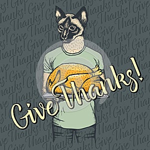 Vector illustration of Thanksgiving cat concept