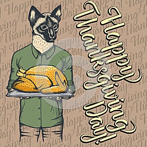 Vector illustration of Thanksgiving cat concept