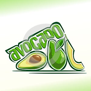 Vector illustration on the theme of avocado