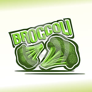 Vector illustration on the theme of broccoli