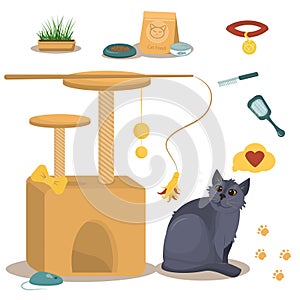 Vector illustration on the theme of domestic cats. British grey cat along with a cat house, food and toys for the cats