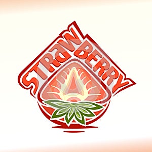 Vector illustration on the theme of strawberry