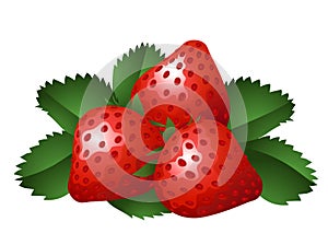 Vector illustration of three strawberries