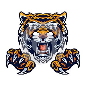 Vector illustration of tiger and claws