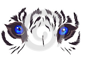 Vector illustration Tiger Eyes Mascot Graphic in white background