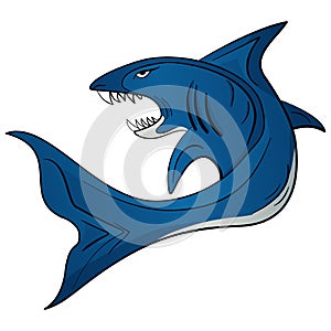 Vector illustration toothy white shark