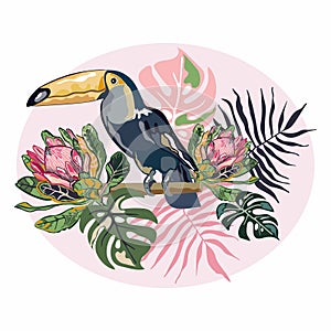 Vector illustration of a toucan bird in flowers. Tropical bird, tropical plants.