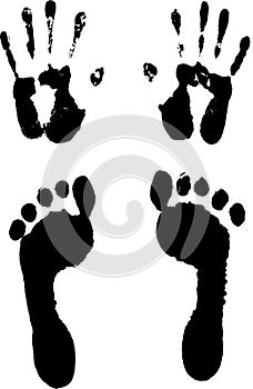 Vector illustration of track/footstep