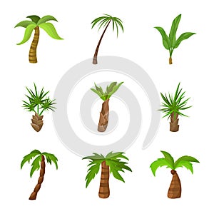 Vector illustration of tree and beach logo. Collection of tree and summer stock vector illustration.