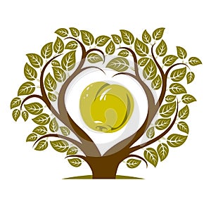 Vector illustration of tree with branches in the shape of heart