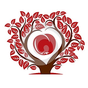 Vector illustration of tree with leaves and branches in the shape of heart with an apple inside. Fruitfulness and fertility idea photo