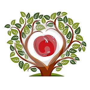 Vector illustration of tree with leaves and branches in the shape of heart with an apple inside. Fruitfulness and fertility idea photo