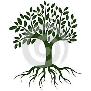 Tree roots logo vector