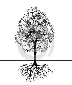 Vector illustration of tree silhouette with root. Eps10