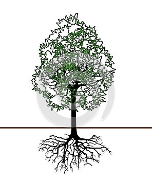 Vector illustration of tree silhouette with root. Eps10