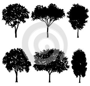 Vector illustration of tree silhouettes