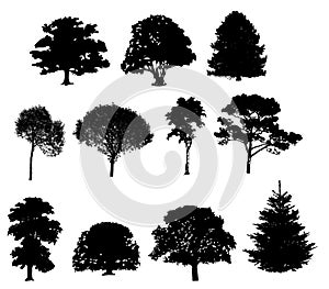 Vektor ilustrace z strom 