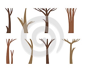Vector illustration tree trunk.