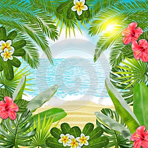 Tropic jungle forest background. Vector photo