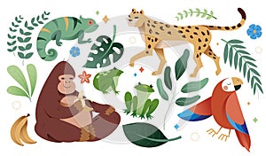 Vector illustration of tropical animals