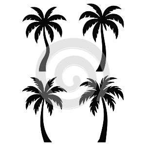 Vector Illustration of Tropical Palm Tree Silhouettes Collection
