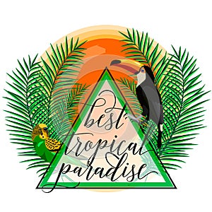 Vector illustration of tropical paradise card with palm leaves, birds, parrot, toucan, sun, summer lettering sign in