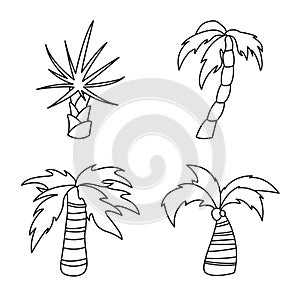 Vector illustration of tropical and summer logo. Set of tropical and botanical stock symbol for web.