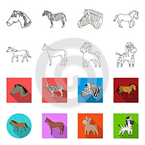 Vector illustration of trot and running icon. Collection of trot and clipart vector icon for stock.