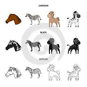 Vector illustration of trot and running icon. Collection of trot and clipart vector icon for stock.
