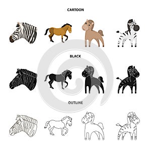 Vector illustration of trot and running icon. Set of trot and clipart stock symbol for web.