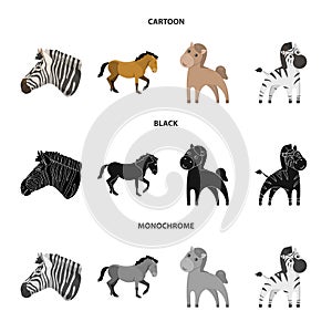 Vector illustration of trot and running logo. Set of trot and clipart stock symbol for web.