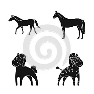 Vector illustration of trot and running logo. Set of trot and clipart stock vector illustration.