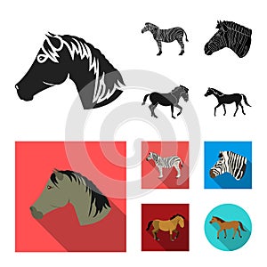 Vector illustration of trot and running logo. Set of trot and clipart stock vector illustration.